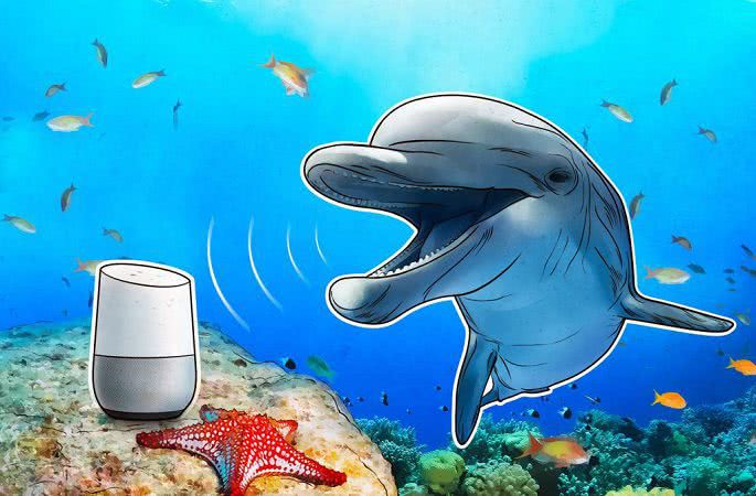Бесшумный звук: голосовые помощники слышат то, чего не слышим мы