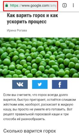 URL AMP-страницы