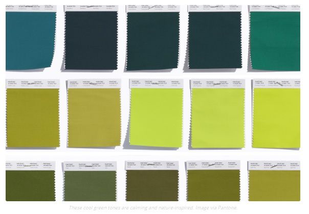 Тренды цвета в 2020 году