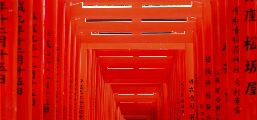 Тренды цвета-2020 по версии Shutterstock